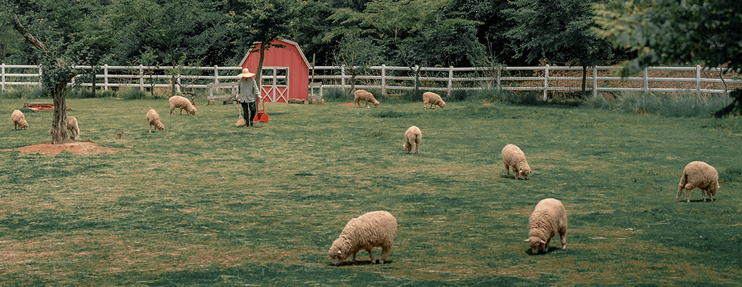 Leben, samdong
삼동의 삶 배너