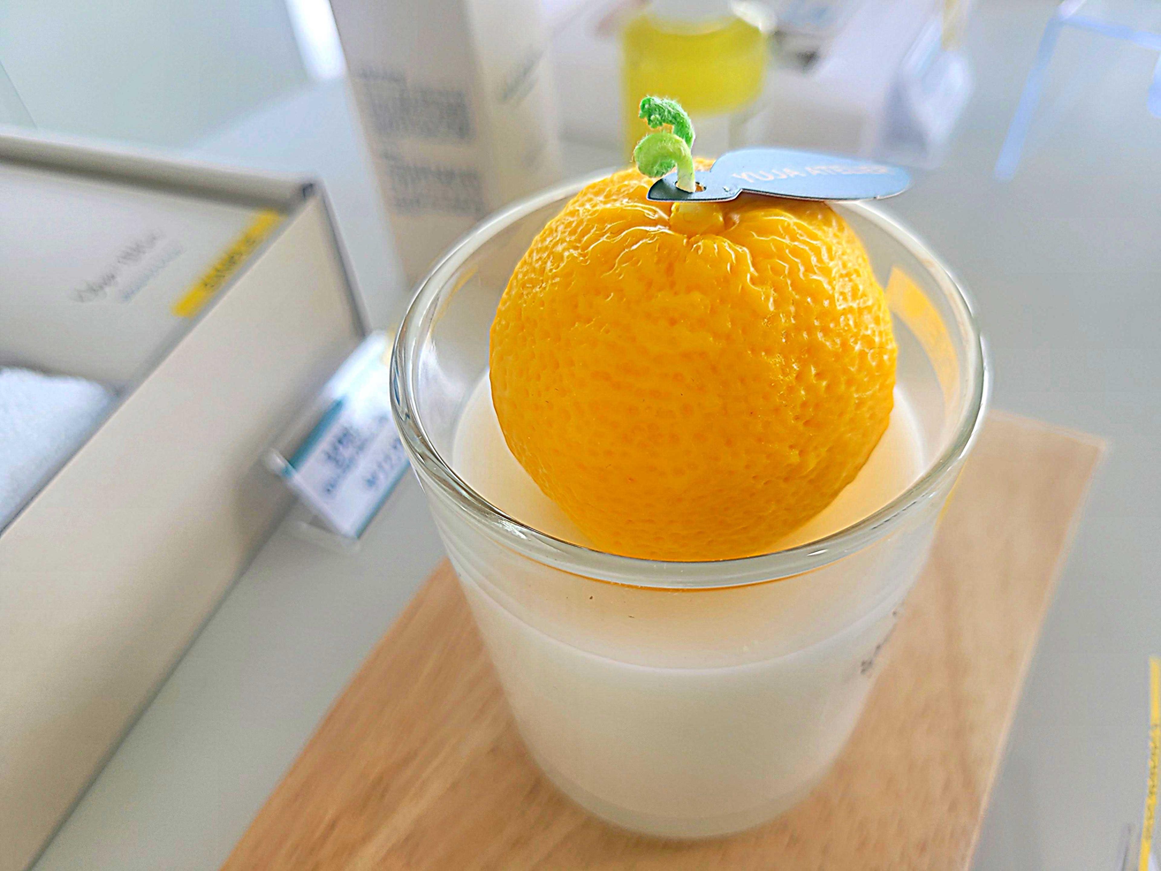 삼동의 삶 7_남해의 땅에서 자라는 것들